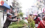 Người Hà Nội đi mua rau mùi già chiều 30 Tết
